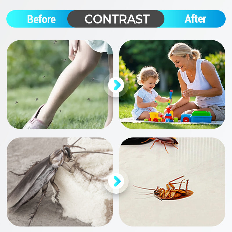 Potente insetticida per uso interno ed esterno