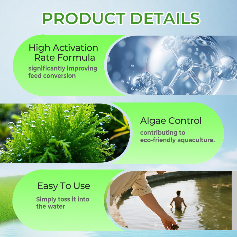 Integratore alimentare multifunzionale in polvere per l'acquacoltura 🌊🐟✨