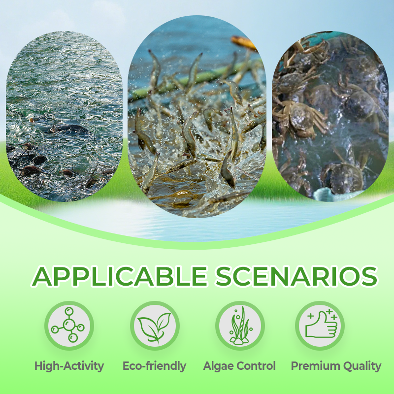 Integratore alimentare multifunzionale in polvere per l'acquacoltura 🌊🐟✨