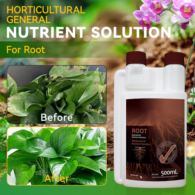 Soluzione nutritiva generale per le radici delle piante