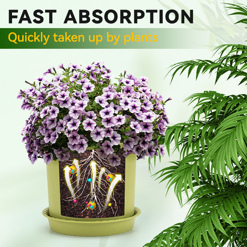 Soluzione nutritiva generale per le radici delle piante