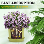 Soluzione nutritiva generale per le radici delle piante