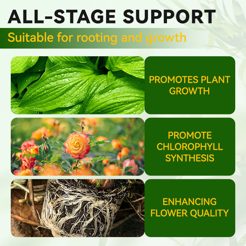 Soluzione nutritiva generale per le radici delle piante