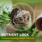 Soluzione nutritiva generale per le radici delle piante