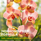 Soluzione nutritiva generale per le radici delle piante