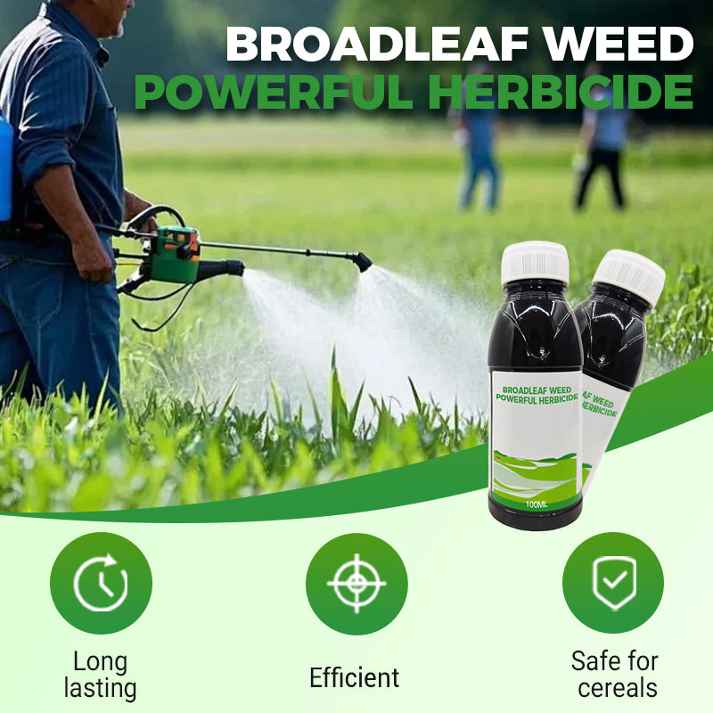 Erbicida altamente efficace contro le erbe infestanti a foglia larga