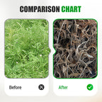 Erbicida altamente efficace contro le erbe infestanti a foglia larga