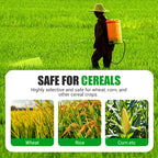 Erbicida altamente efficace contro le erbe infestanti a foglia larga