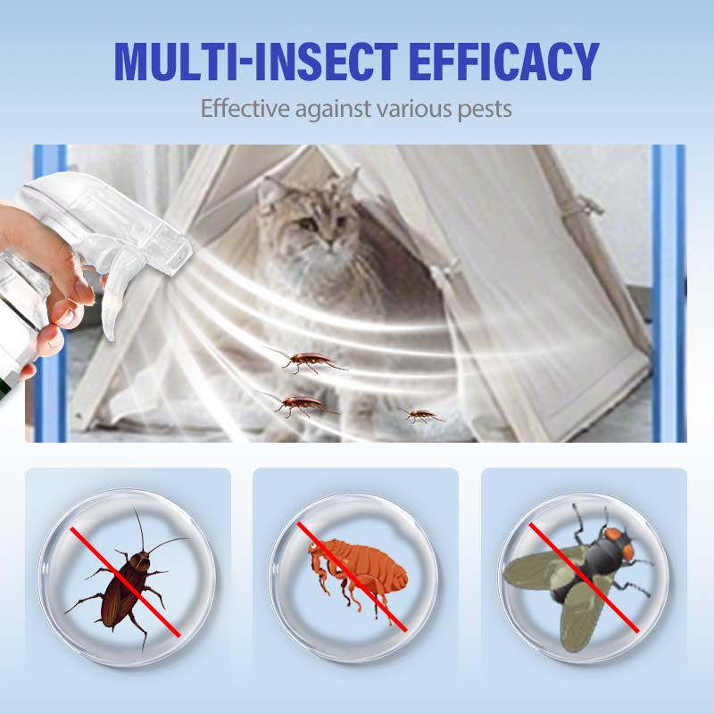 Spray insetticida a lunga durata per scarafaggi da interno ed esterno