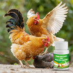 Voederadditieven per pluimveehouderij