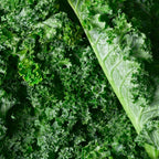 Semi di cavolo riccio commestibili non OGM