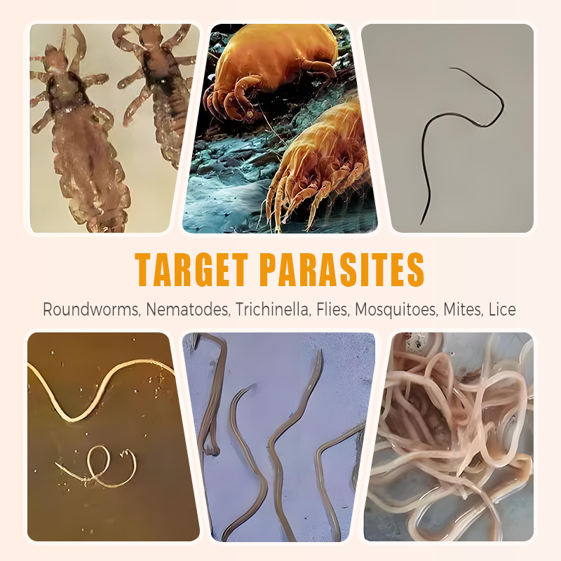 🐓Vermifugo naturale interno ed esterno per polli