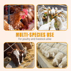 🐓Vermifugo naturale interno ed esterno per polli