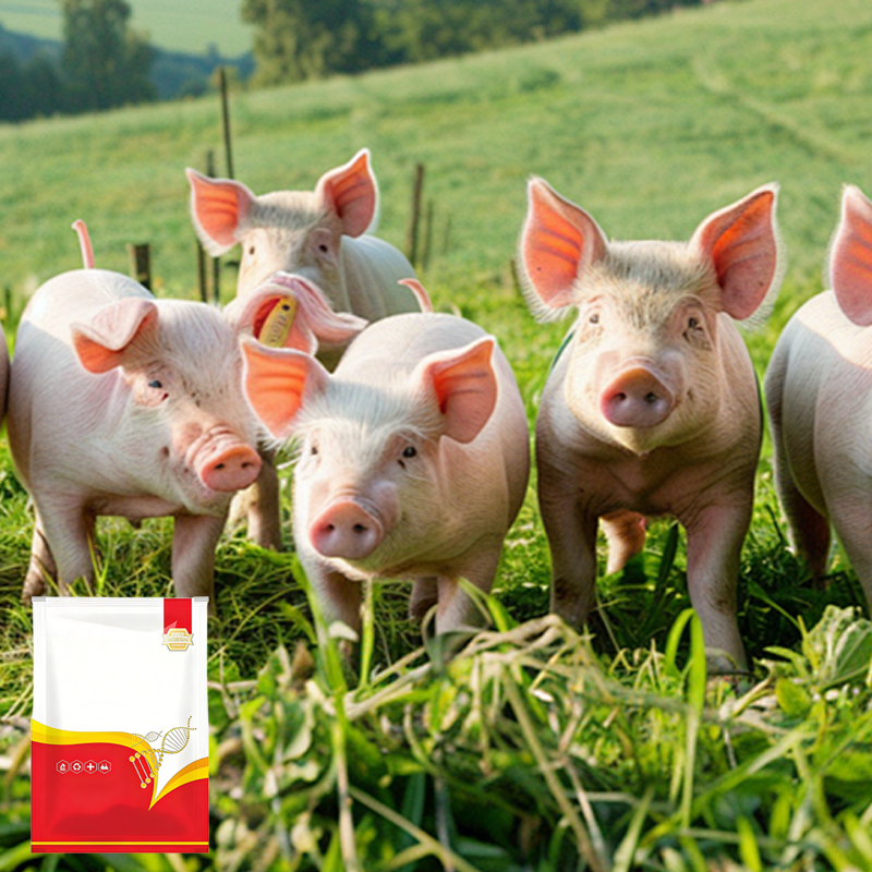 🐓Vermifugo naturale interno ed esterno per polli