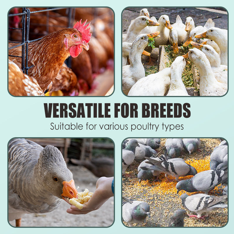 🐓🪺🥚Integratore alimentare Egg Booster