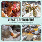 🐓🪺🥚Integratore alimentare Egg Booster