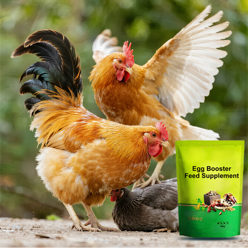 🐓🪺🥚Integratore alimentare Egg Booster