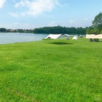 Vierseizoenen Evergreen Graszaad