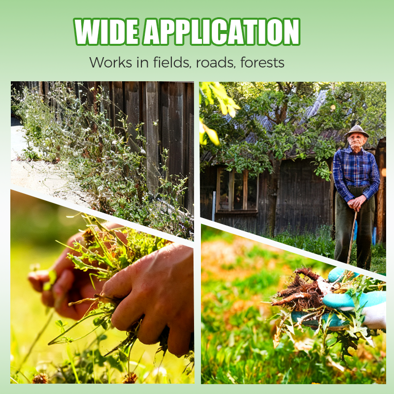 🔥💯Erbicida potente a doppia azione🍃🔥