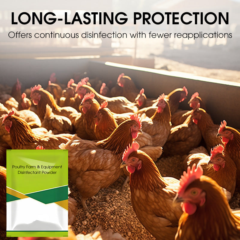 100 g di polvere disinfettante per pollai e attrezzature agricole