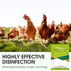 100 g di polvere disinfettante per pollai e attrezzature agricole