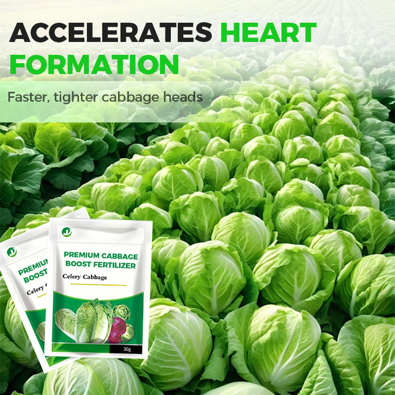 Fertilizzante premium per cavoli: favorisce la crescita