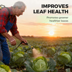 Fertilizzante premium per cavoli: favorisce la crescita