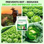 Fertilizzante premium per cavoli: favorisce la crescita