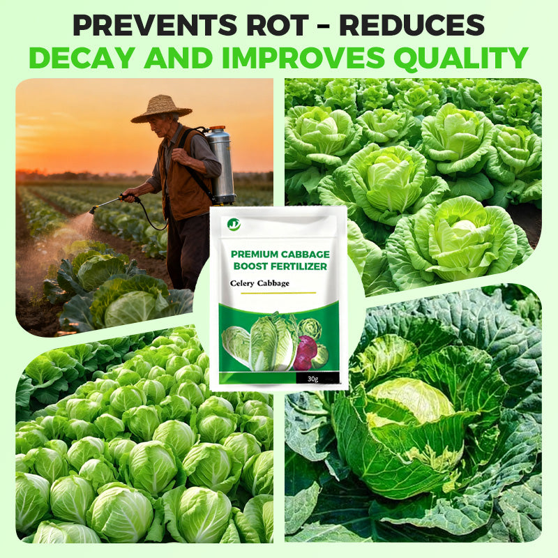 Fertilizzante premium per cavoli: favorisce la crescita