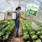 Fertilizzante premium per cavoli: favorisce la crescita