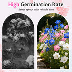 Semi misti di Lisianthus - Facili da coltivare 