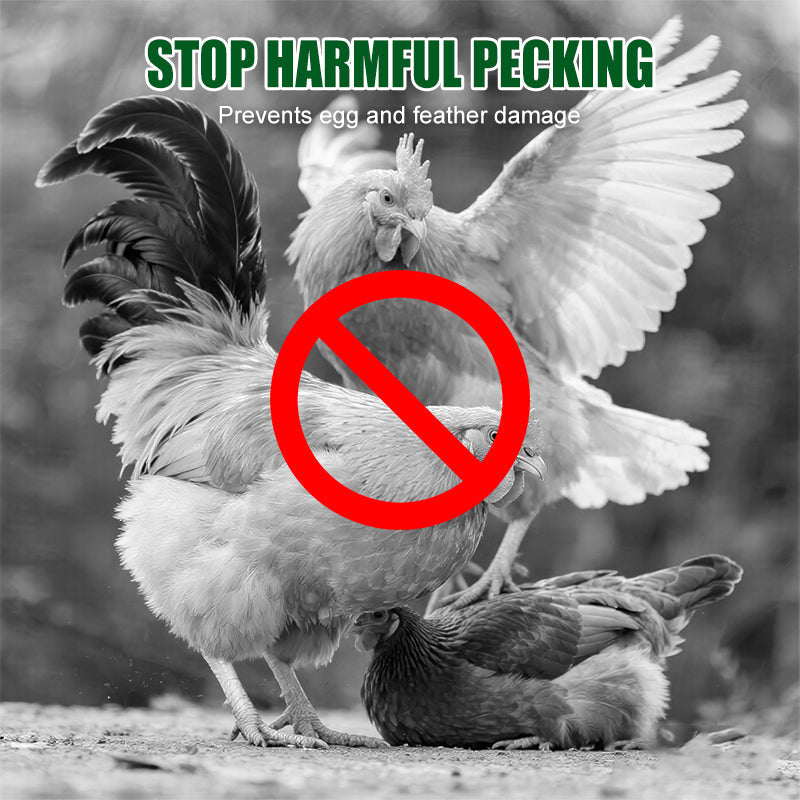 Additivo per mangimi contro la pica delle piume per polli