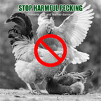 Additivo per mangimi contro la pica delle piume per polli