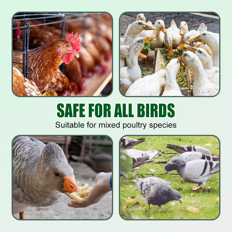 Additivo per mangimi contro la pica delle piume per polli